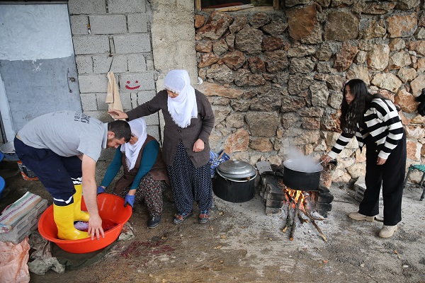 Foto - Bu narlar asırlık ağaçlarda yetişiyor
