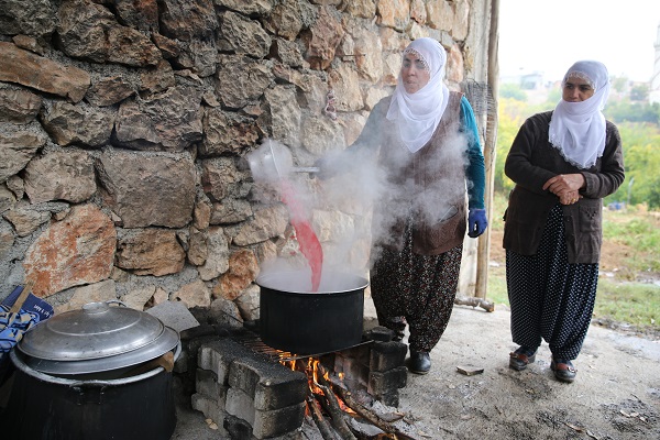 Foto - Bu narlar asırlık ağaçlarda yetişiyor
