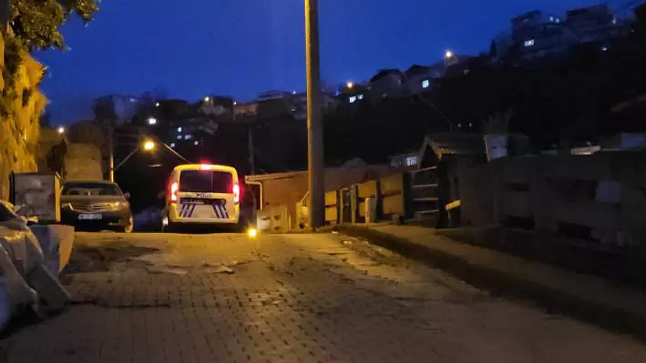 Foto - Bu nasıl anne! Sözleri "pes" dedirtti! 3.5 yaşındaki Efe'yi bakın nasıl öldürdü