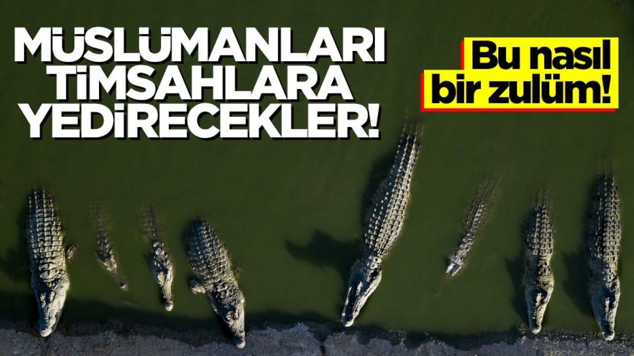 Bu nasıl bir zulüm! Müslümanları timsahlara yedirecekler!