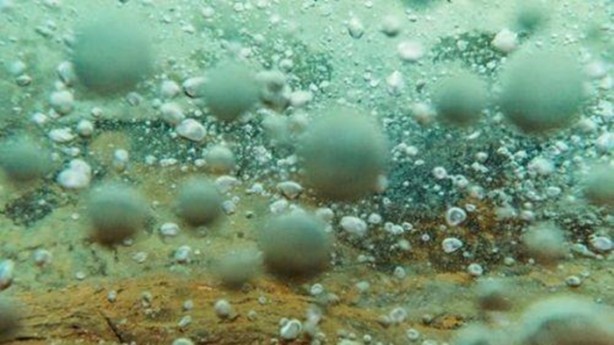 Foto - Bu nehir içine düşen her şeyi öldürüyor!