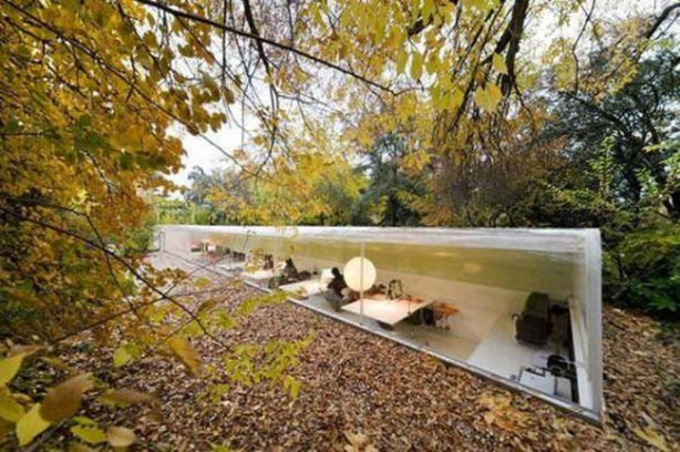 Foto - Bu ofislerde çalışanlar çok şanslı!