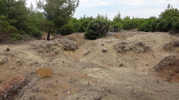 Foto - Bu olay Çanakkale Savaşı'nda yaşanmış! Tam 109 yıl sonra ortaya çıkan kahramanlık hikayesi