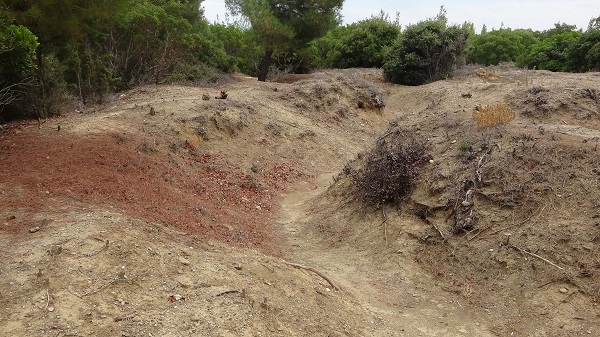 Foto - Bu olay Çanakkale Savaşı'nda yaşanmış! Tam 109 yıl sonra ortaya çıkan kahramanlık hikayesi