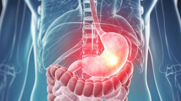 Foto - Bu organlar olmadan da yaşamınızı sürdürebilirsiniz