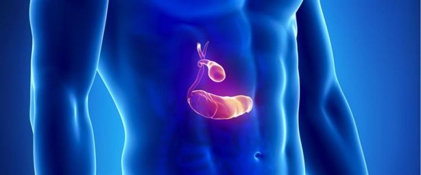 Foto - Bu organlar olmadan da yaşamınızı sürdürebilirsiniz