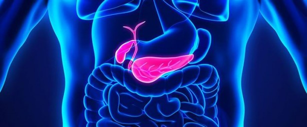 Foto - Bu organlar olmadan da yaşamınızı sürdürebilirsiniz