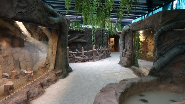 Foto - Bu parkta yok yok! Karadeniz Bölgesi’nde ilk olma özelliği taşıyor