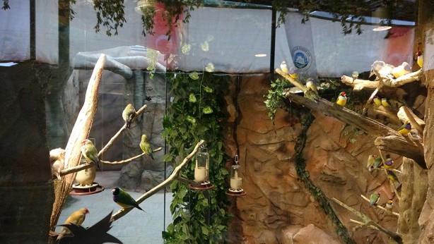 Foto - Bu parkta yok yok! Karadeniz Bölgesi’nde ilk olma özelliği taşıyor