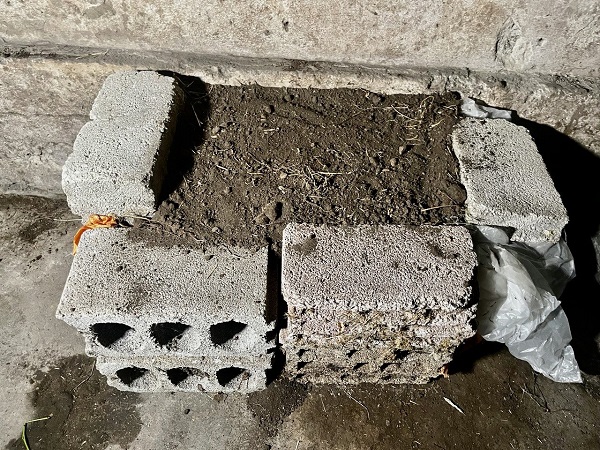 Foto - Bu peynir iki yıl boyunca bozulmuyor