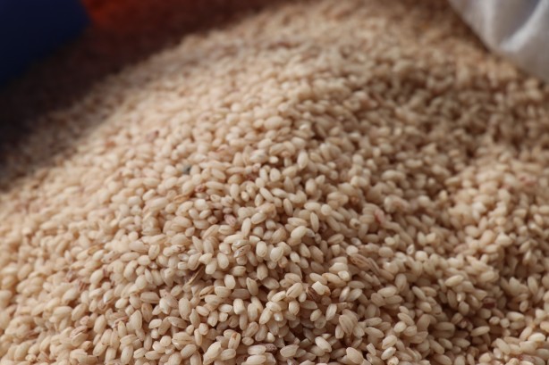 Foto - "Bu pirinç çömlek patlatır"