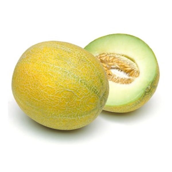 Foto - Bu pratik bilgiler hayat değiştiriyor