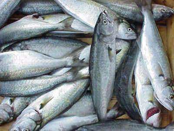 Foto - Bu pratik bilgiler hayat değiştiriyor