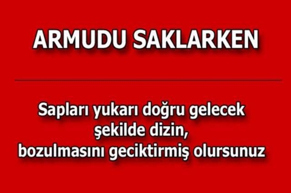 Foto - Bu pratik bilgiler hayatınızı değiştirecek!