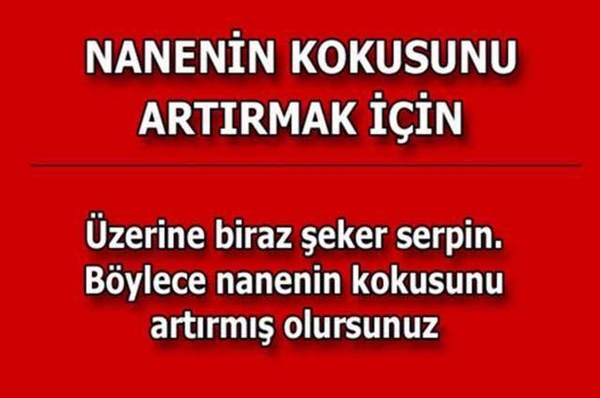 Foto - Bu pratik bilgiler hayatınızı değiştirecek!