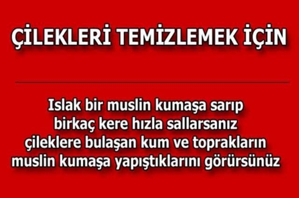 Foto - Bu pratik bilgiler hayatınızı değiştirecek!