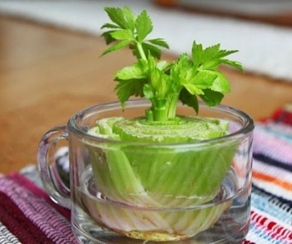 Bu pratik bilgiler mutfakta durduğunuz süreyi kısaltacak!