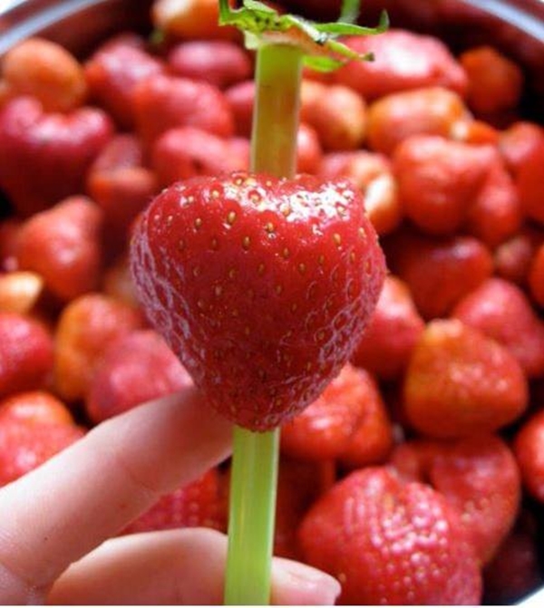 Foto - Bu pratik bilgileri herkes bilmeli!