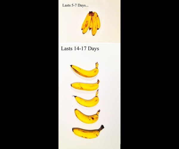 Foto - Bu pratik bilgileri herkes bilmeli!