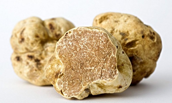 Foto - Bu rakamlara inanmak çok zor! 1 gramı 62 trilyon dolar