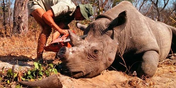 Foto - Bu rakamlara inanmak çok zor! 1 gramı 62 trilyon dolar