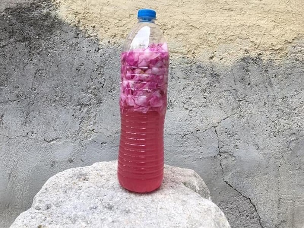 Foto - Bu reçelin kilosu 200 TL