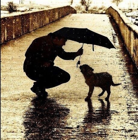 Foto - Bu resimler her şeyi anlatıyor