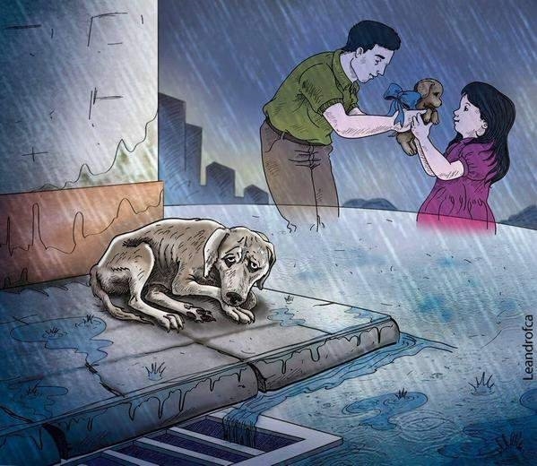 Foto - Bu resimler her şeyi anlatıyor