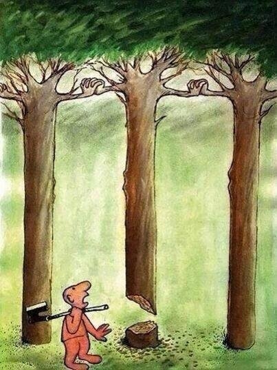 Foto - Bu resimler her şeyi anlatıyor