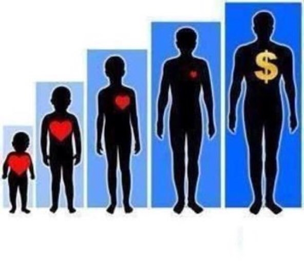 Foto - Bu resimler her şeyi anlatıyor