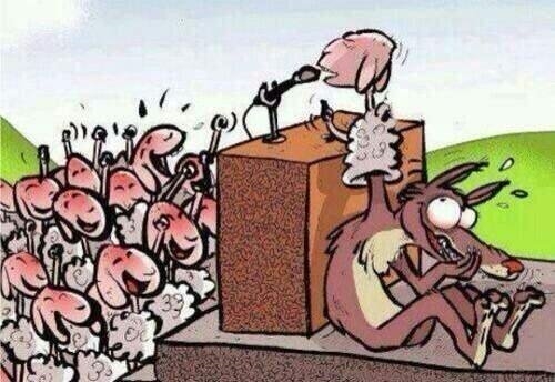 Foto - Bu resimler her şeyi anlatıyor