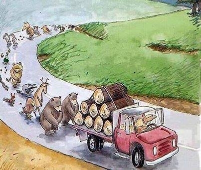 Foto - Bu resimler her şeyi anlatıyor