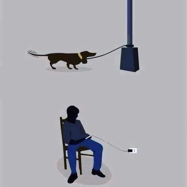 Foto - Bu resimler her şeyi anlatıyor