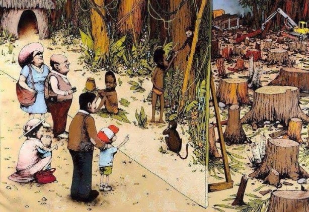 Foto - Bu resimler her şeyi anlatıyor