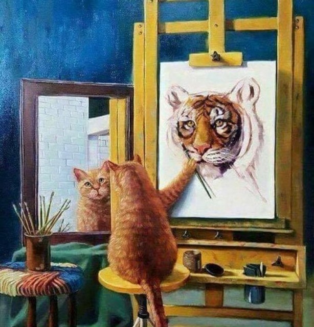 Foto - Bu resimler her şeyi anlatıyor