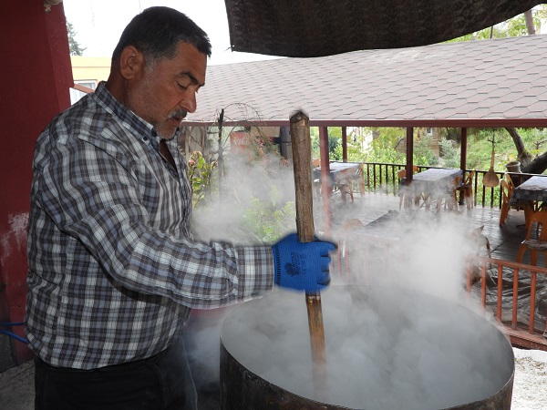 Foto - Bu sabun her derde deva! Işıl ışıl saçlar için çözümü uzakta aramayın
