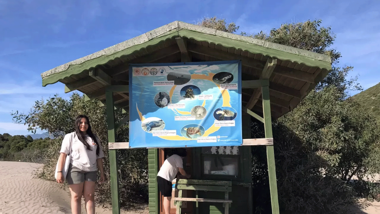 Bu sahillere gece girenler yandı! Cezası çok ağır!