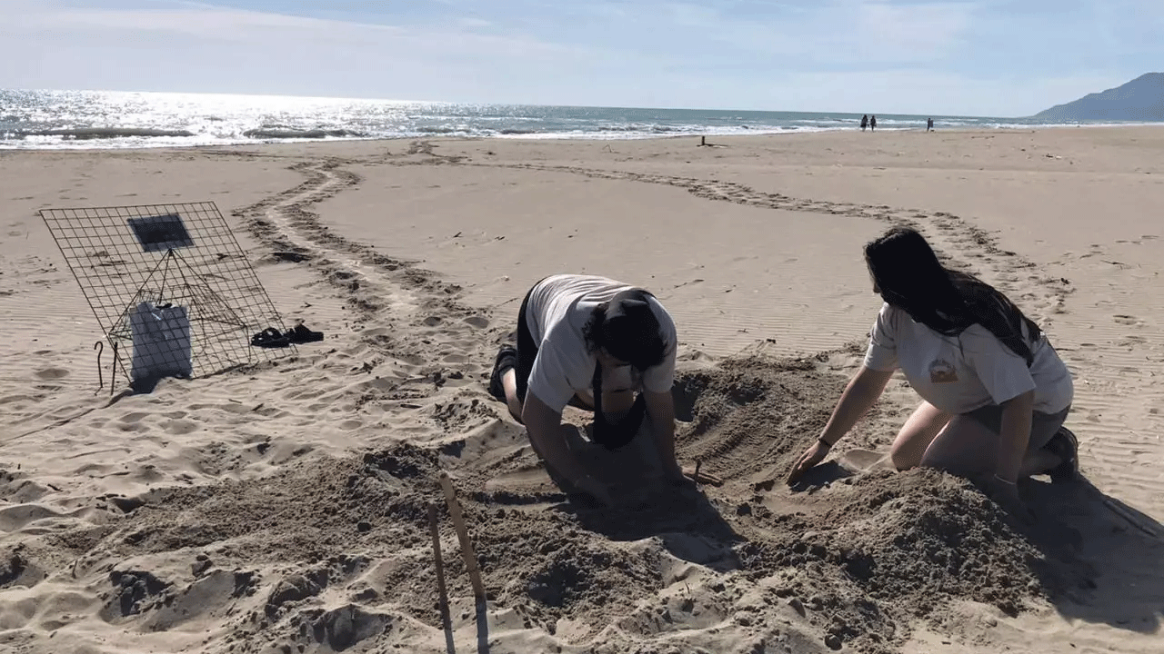 Foto - Bu sahillere gece girenler yandı! Cezası çok ağır!