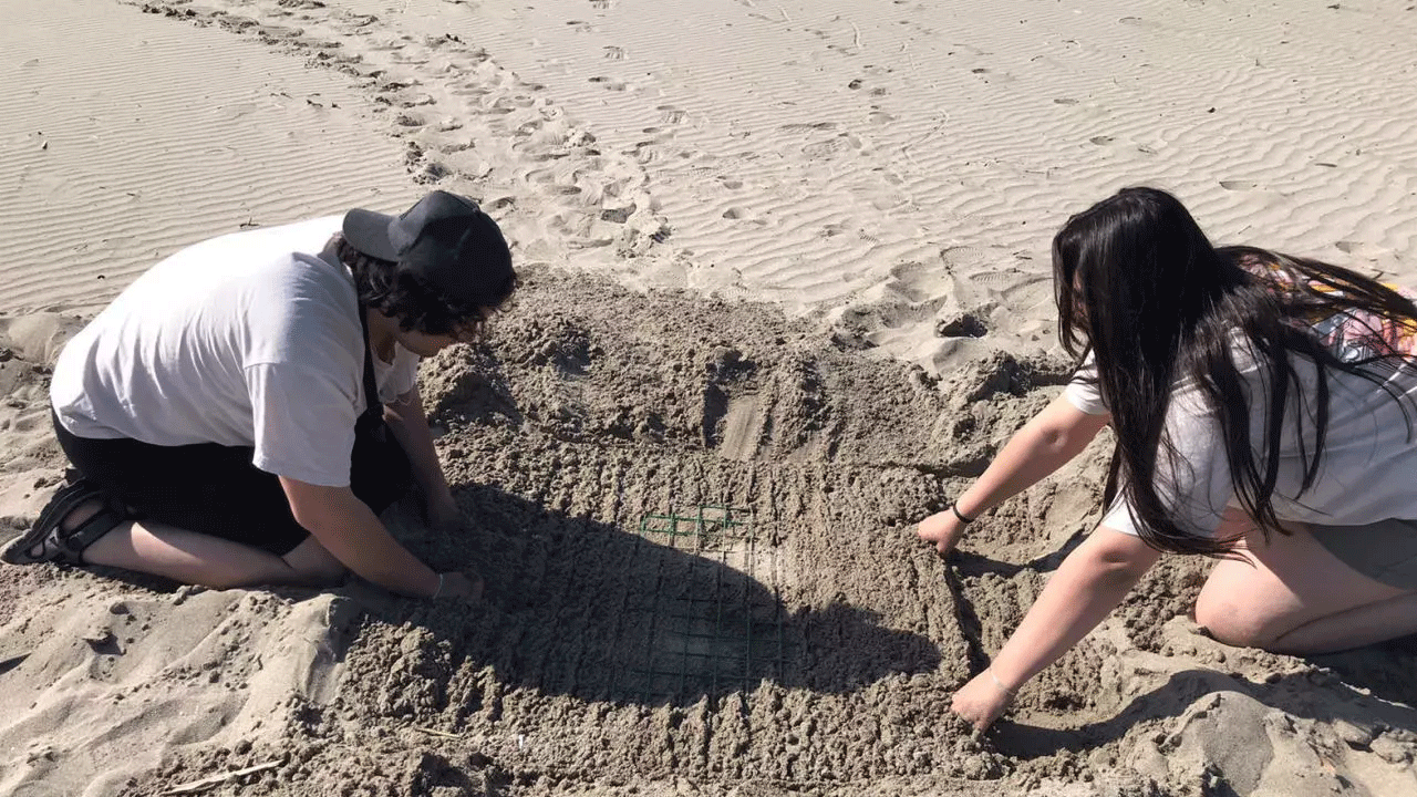 Foto - Bu sahillere gece girenler yandı! Cezası çok ağır!