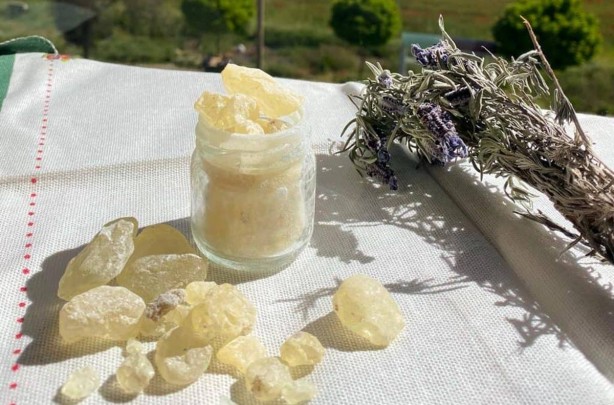 Foto - Bu sakız, bildiğiniz sakızlardan değil! Ender Saraç, faydalarını saya saya bitiremedi! Vay vay vay