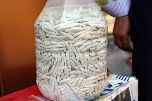 Foto - Bu sakızın kilosu 600 TL!