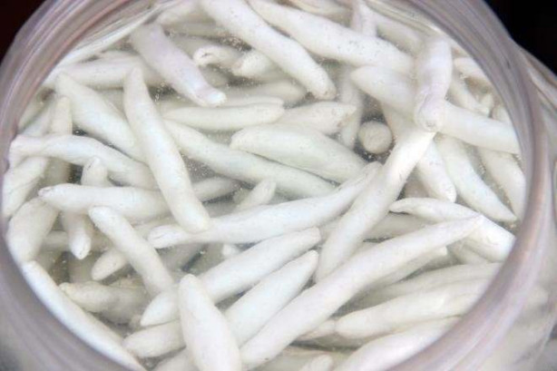 Foto - Bu sakızın kilosu 600 TL!