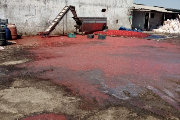 Foto - Bu salça az kalsın evlerimize girecekti! Dehşete düşüren görüntüler