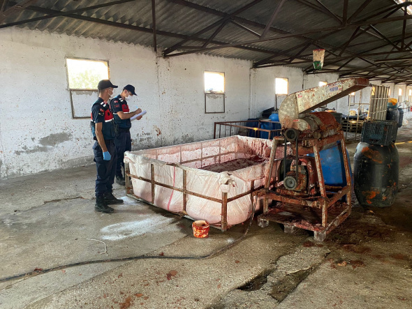 Foto - Bu salça az kalsın evlerimize girecekti! Dehşete düşüren görüntüler