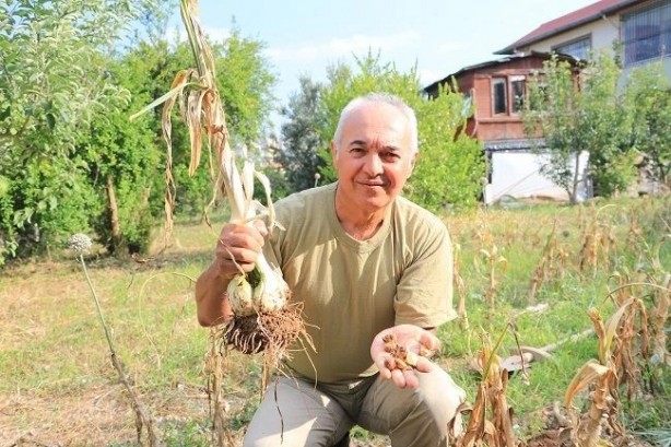 Foto - Bu sarımsağı gören bir daha bakıyor!