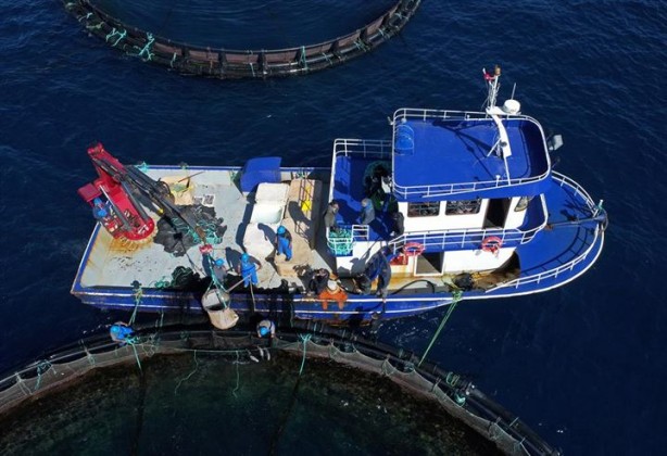 Foto - Bu sayede 2 yılda 2 milyon kazandı!