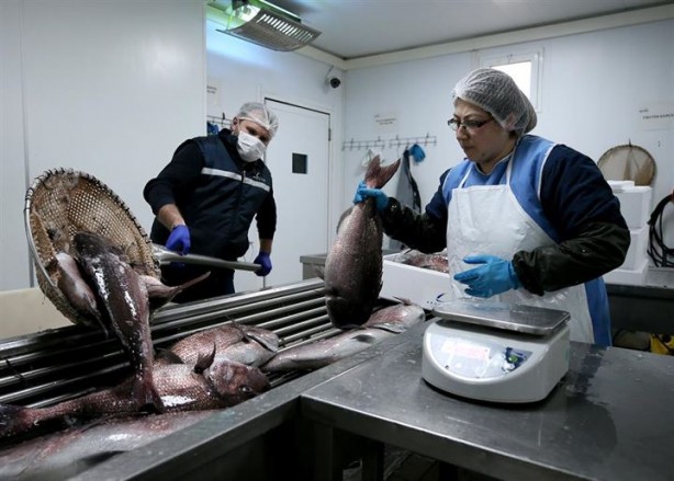 Foto - Bu sayede 2 yılda 2 milyon kazandı!