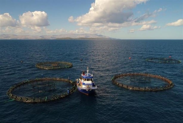 Foto - Bu sayede 2 yılda 2 milyon kazandı!