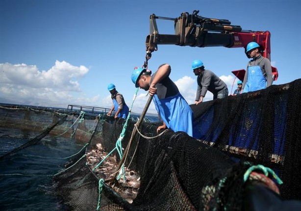 Foto - Bu sayede 2 yılda 2 milyon kazandı!