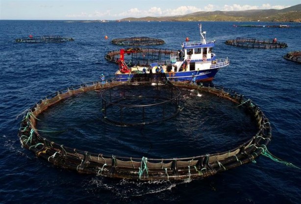 Foto - Bu sayede 2 yılda 2 milyon kazandı!